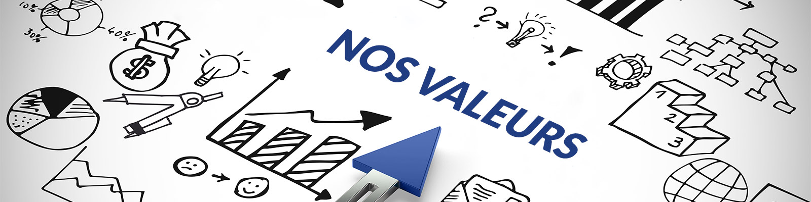 {{valeurs_cnese.name}}