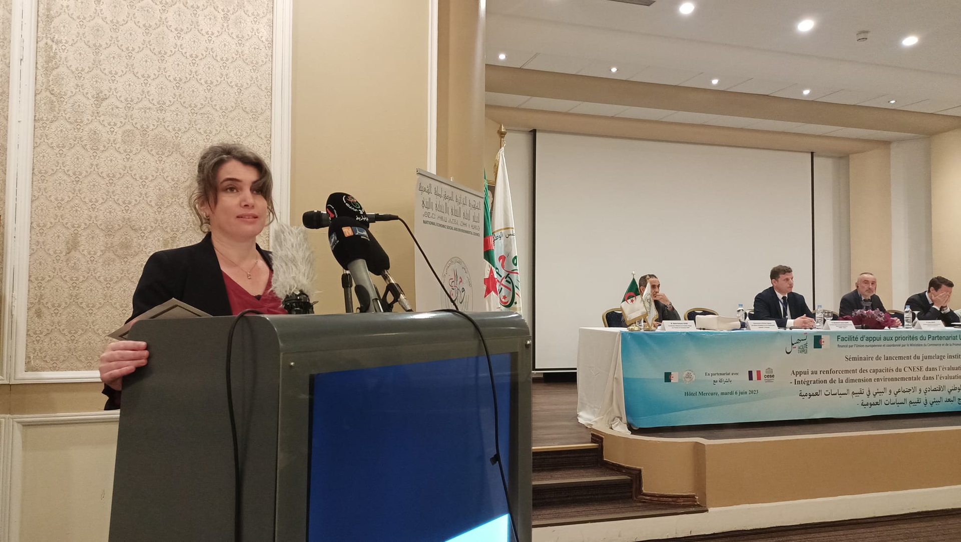 Image de la publication